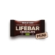 MINI Lifebar čokoládová BIO RAW
